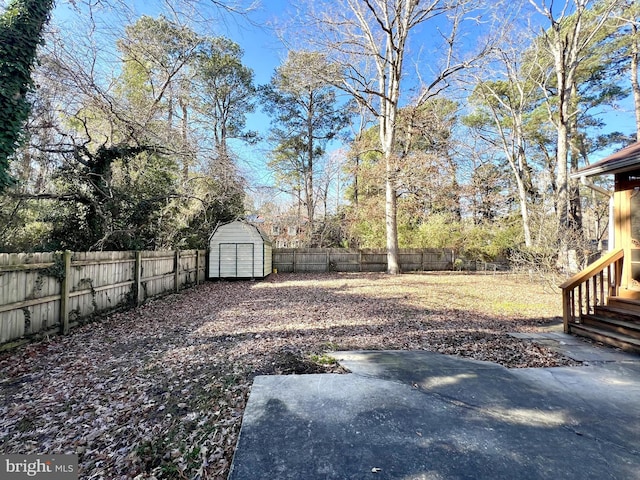 view of yard with a storage unit