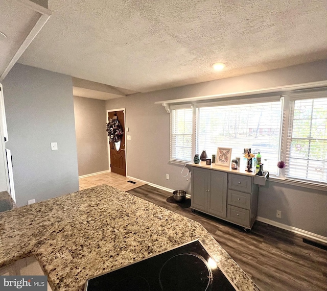 kitchen with gray cabinets, wood-type flooring, a textured ceiling, and a wealth of natural light