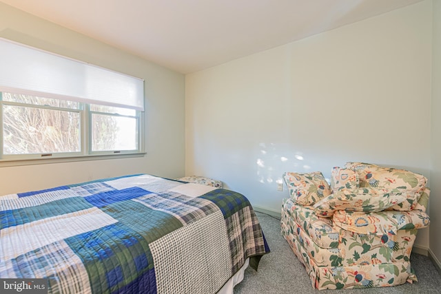 bedroom with carpet floors