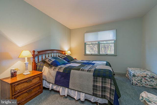 bedroom featuring carpet flooring