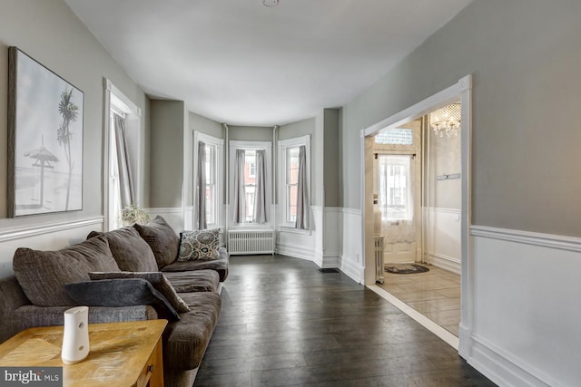 living room featuring a chandelier, radiator, and dark wood-type flooring