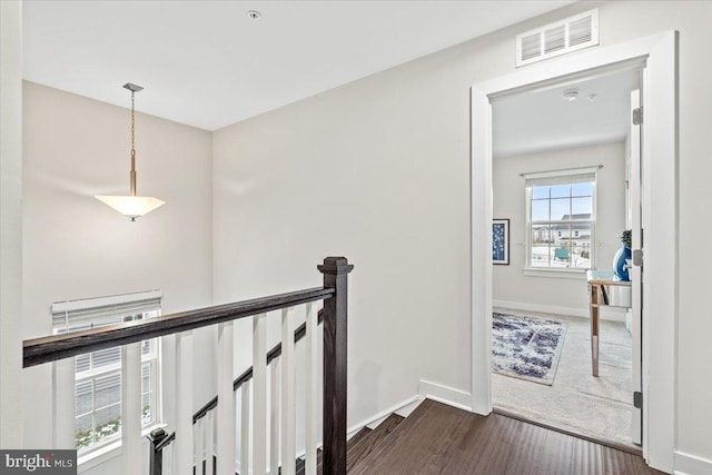 corridor with dark hardwood / wood-style flooring