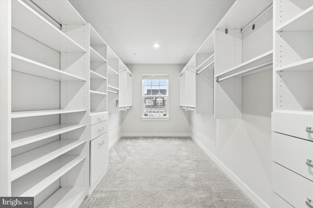 walk in closet featuring light colored carpet