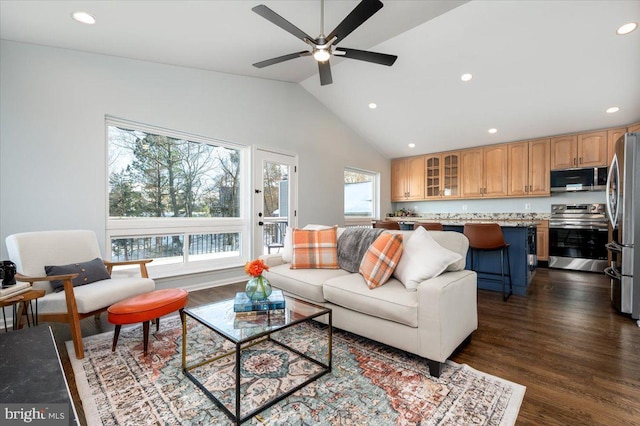 living room with dark hardwood / wood-style floors, ceiling fan, and lofted ceiling