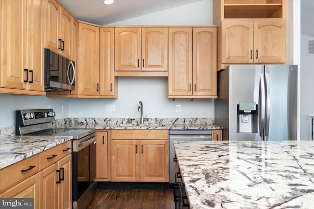 kitchen featuring light stone countertops, sink, stainless steel appliances, dark hardwood / wood-style flooring, and light brown cabinetry