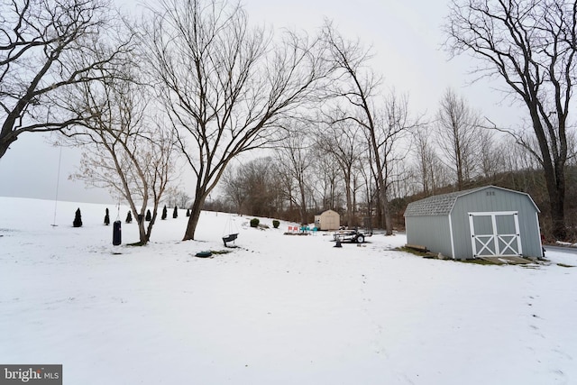 yard covered in snow featuring a storage unit