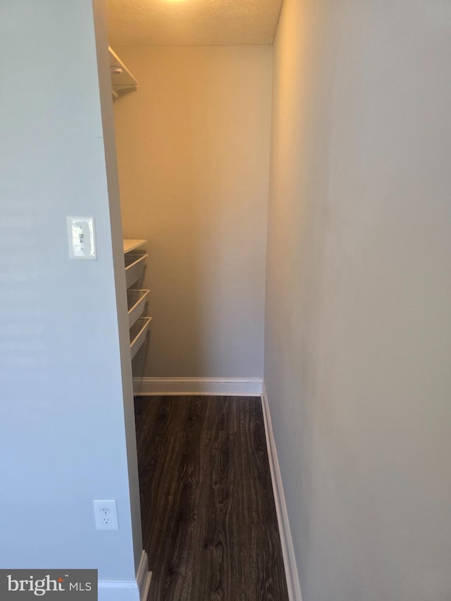 walk in closet featuring dark wood-type flooring