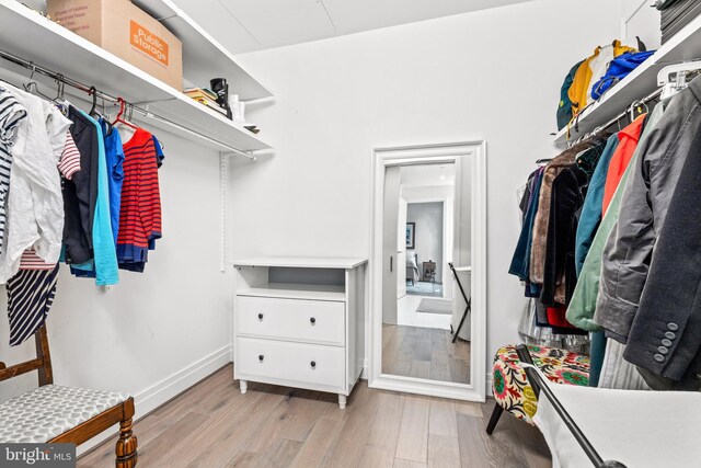 walk in closet featuring light wood-type flooring