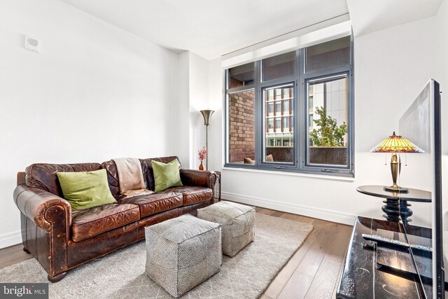 living room featuring hardwood / wood-style floors