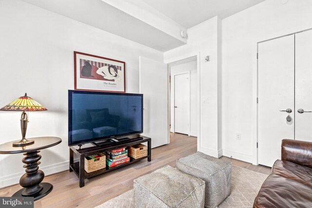 living room with wood-type flooring