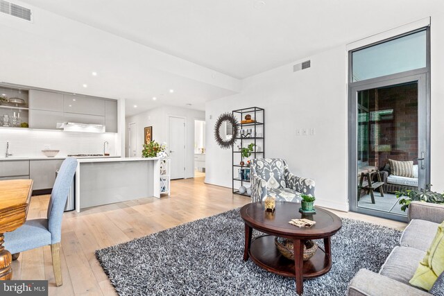 living room featuring light wood-type flooring and sink