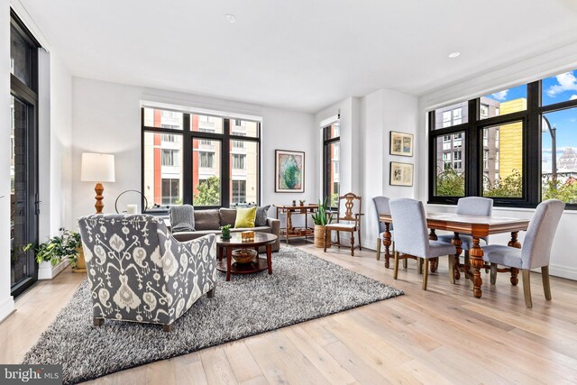 living room with plenty of natural light and light hardwood / wood-style flooring