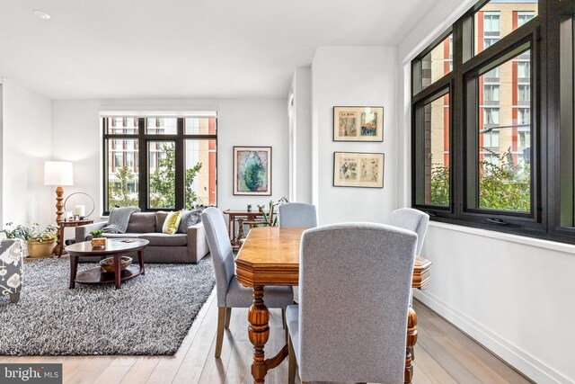 dining space featuring light hardwood / wood-style floors