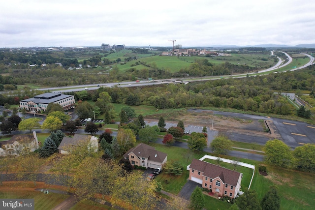 bird's eye view