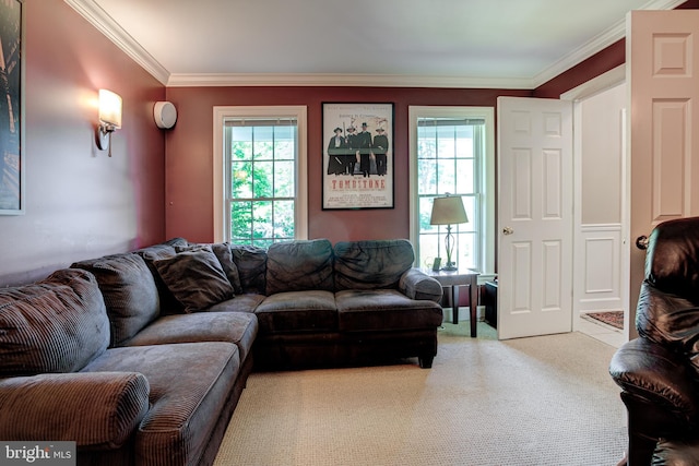 carpeted living room featuring plenty of natural light and crown molding