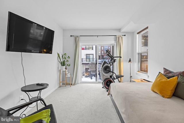 carpeted bedroom featuring access to outside and multiple windows