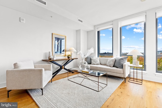 living room featuring hardwood / wood-style flooring and a wealth of natural light