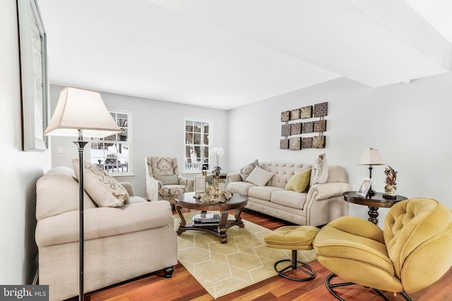 living room with wood-type flooring