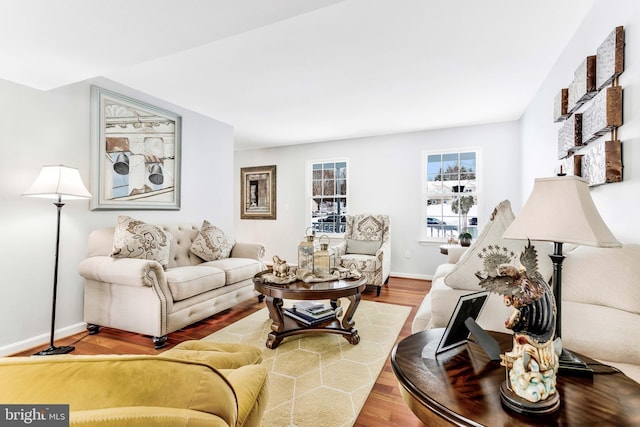 living room with hardwood / wood-style flooring