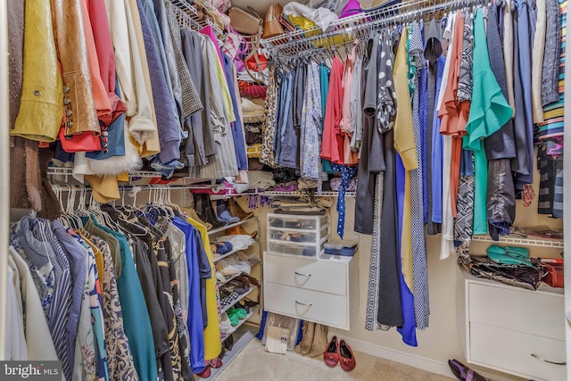 walk in closet featuring carpet floors