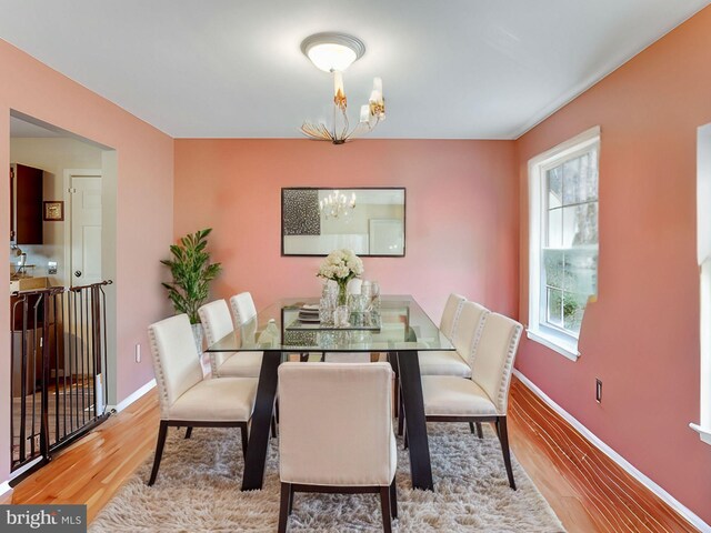 dining room featuring light hardwood / wood-style floors, an inviting chandelier, and a wealth of natural light