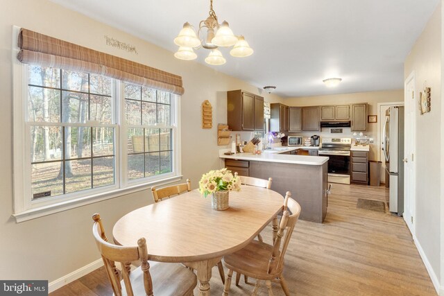 dining space with sink, a chandelier, and light hardwood / wood-style flooring