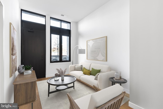 living room featuring light hardwood / wood-style flooring