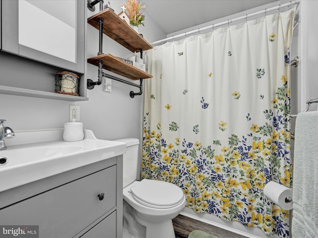 bathroom with vanity, wood-type flooring, and toilet