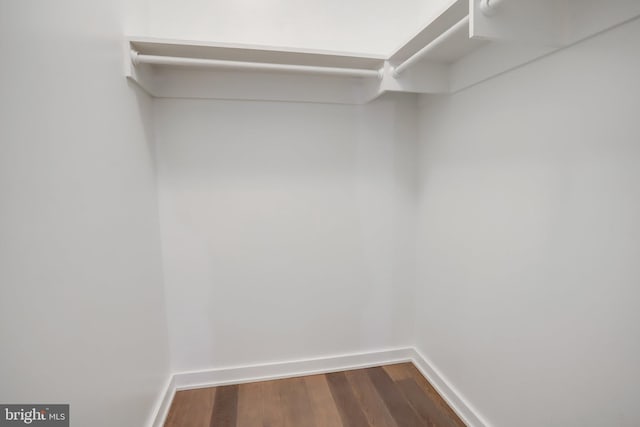 walk in closet with wood-type flooring