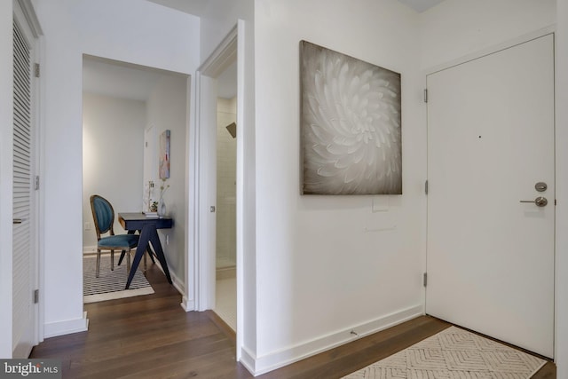 foyer entrance featuring dark hardwood / wood-style flooring