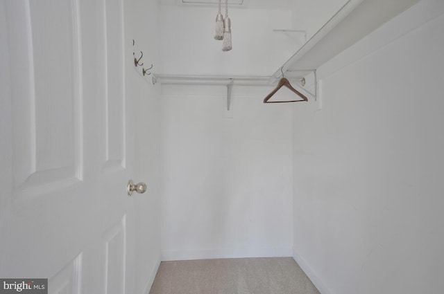 walk in closet with light carpet