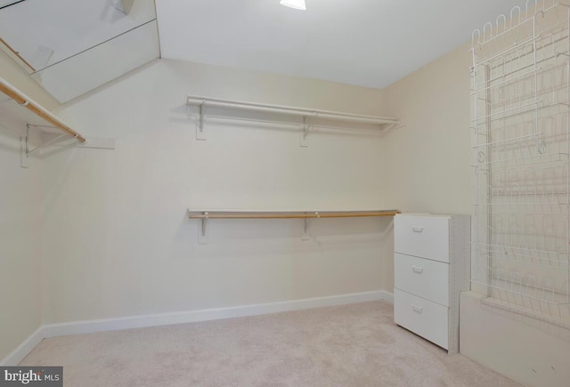 spacious closet featuring light carpet