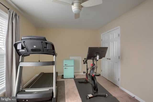 workout room featuring ceiling fan and carpet flooring