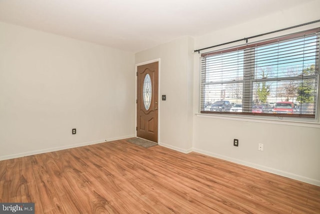 foyer with light hardwood / wood-style flooring and a wealth of natural light