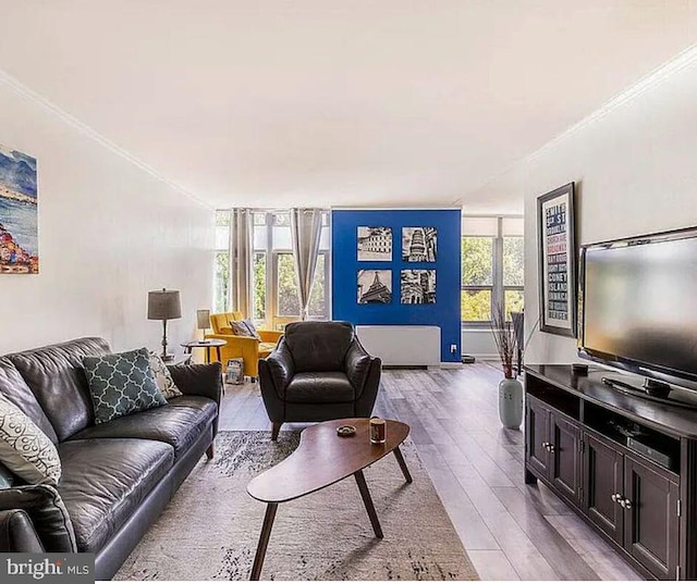 living room featuring light hardwood / wood-style flooring