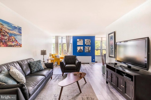 living room with light hardwood / wood-style flooring