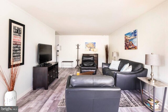 living room featuring light hardwood / wood-style floors