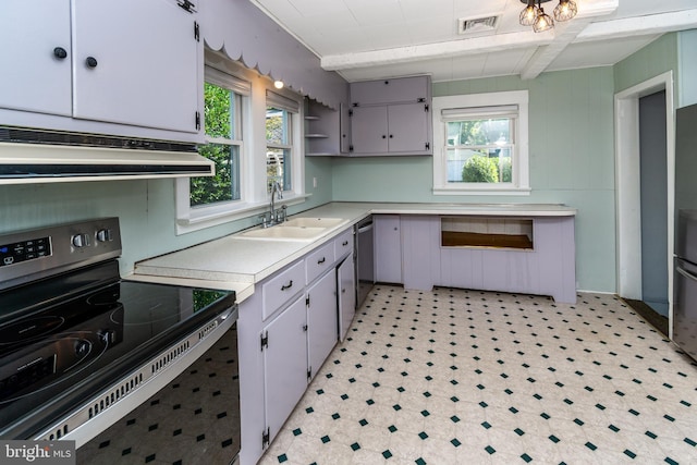 kitchen with a healthy amount of sunlight, exhaust hood, sink, and appliances with stainless steel finishes