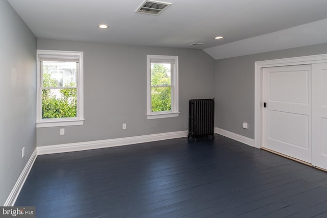 additional living space featuring dark hardwood / wood-style flooring and lofted ceiling