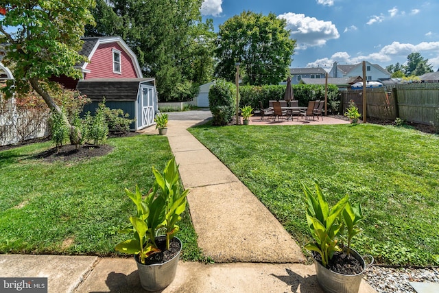 view of yard with a patio and a shed