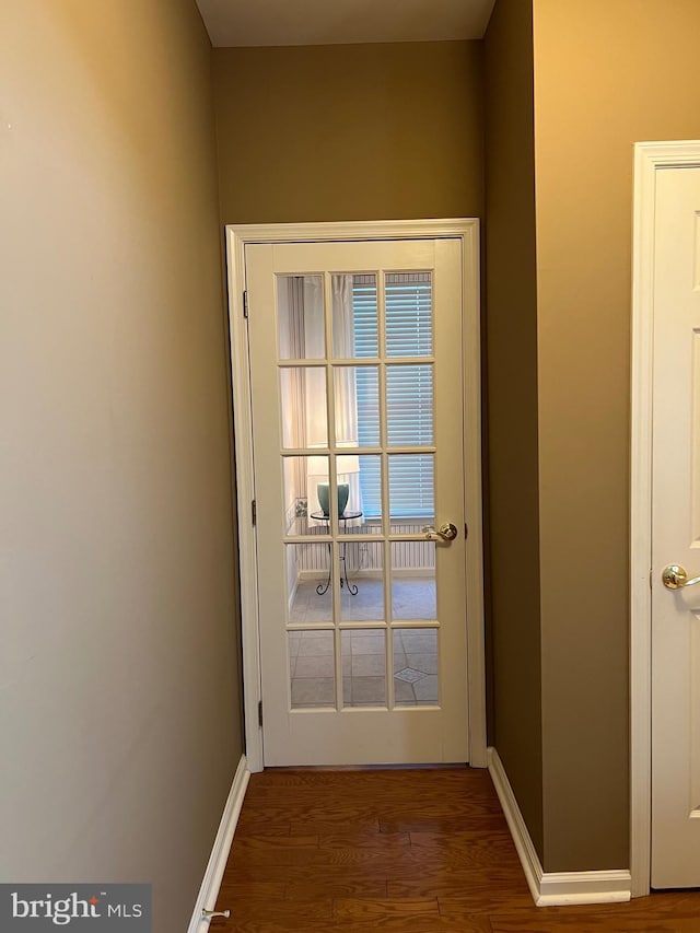 entryway featuring dark wood-type flooring