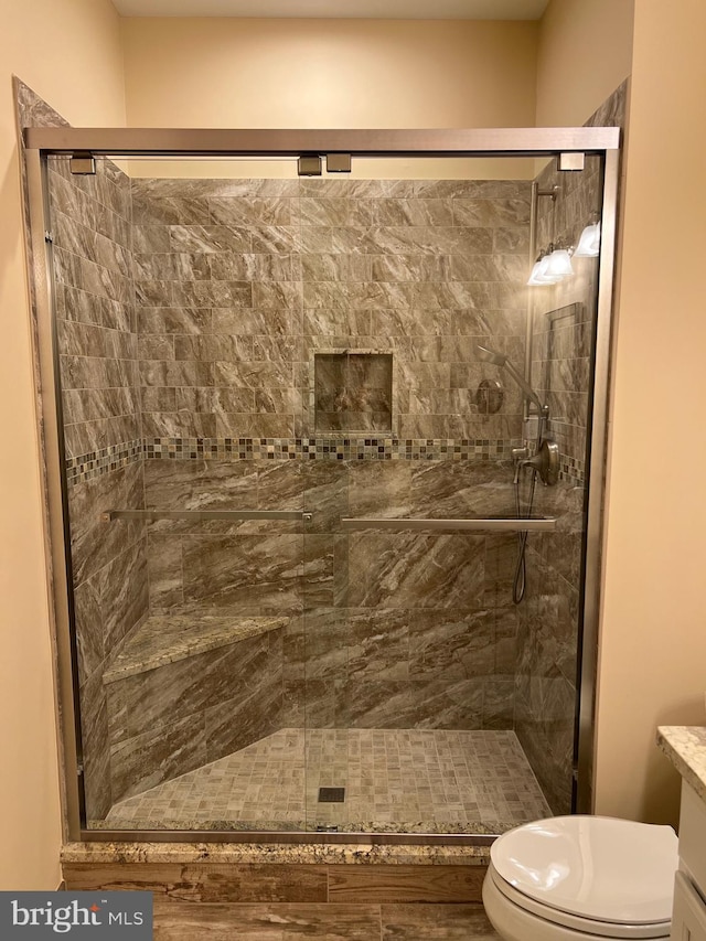 bathroom with vanity, toilet, and a shower with shower door