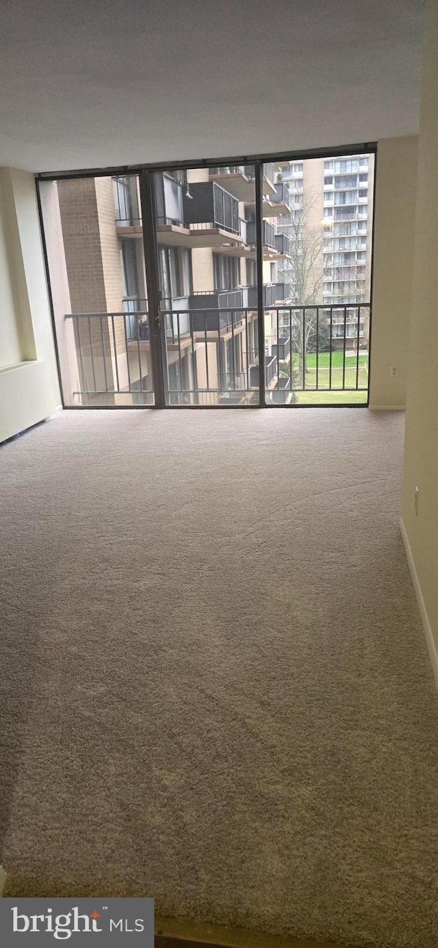 empty room featuring carpet flooring