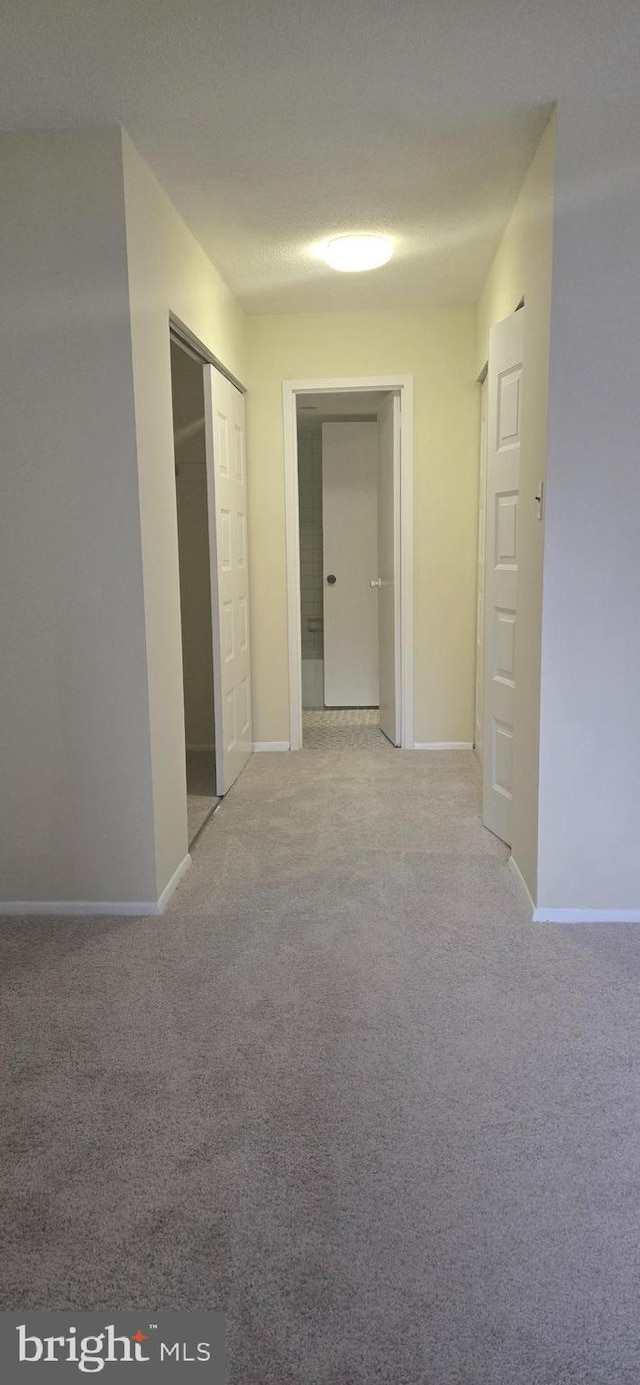 hallway featuring carpet flooring