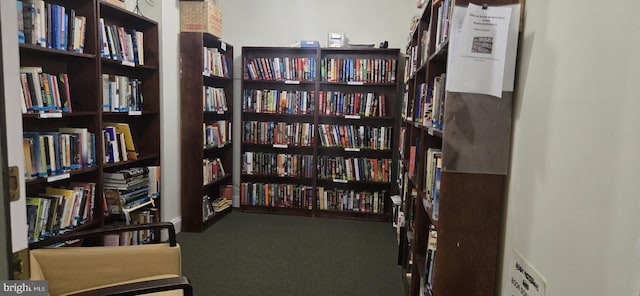 interior space with carpet floors