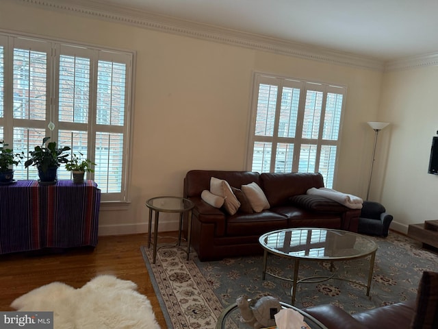 living room featuring a wealth of natural light, dark hardwood / wood-style flooring, and crown molding