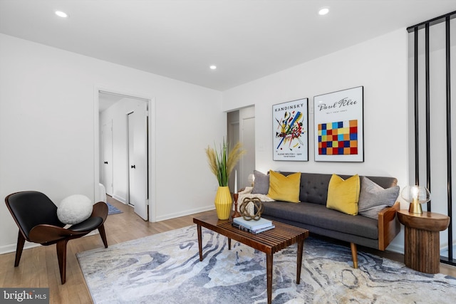 living room featuring light hardwood / wood-style flooring