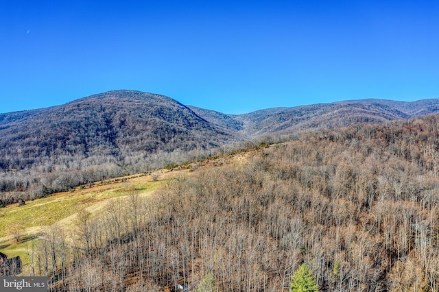 view of mountain feature