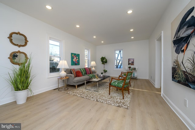 living room with light wood-type flooring