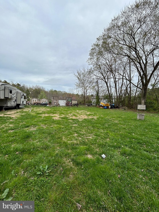 view of yard